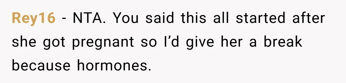 Rey16 − NTA. You said this all started after she got pregnant so I’d give her a break because hormones.