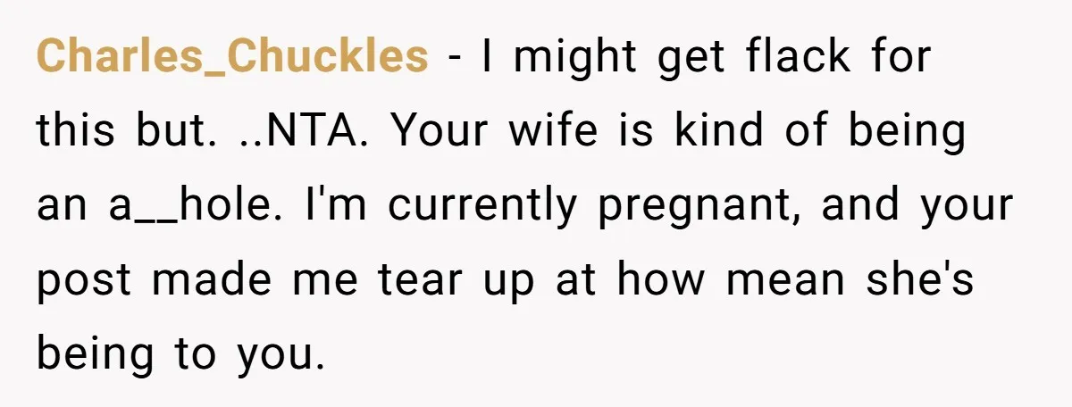 Charles_Chuckles − I might get flack for this but. ..NTA. Your wife is kind of being an a__hole. I'm currently pregnant, and your post made me tear up at how...