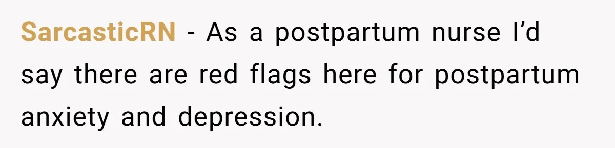 SarcasticRN − As a postpartum nurse I’d say there are red flags here for postpartum anxiety and depression.