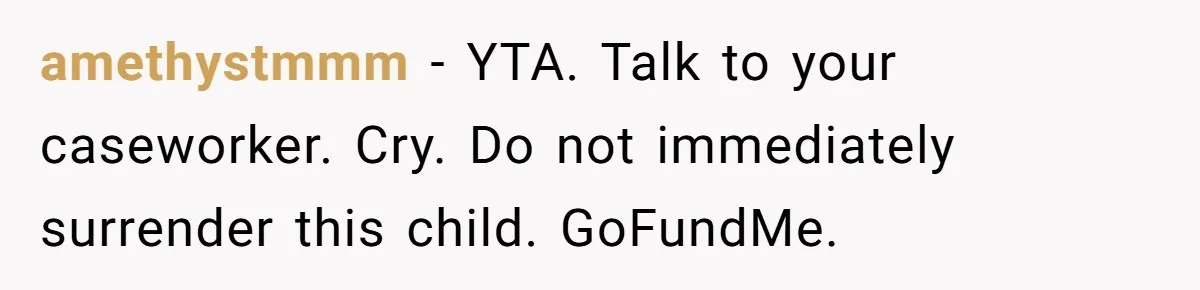 amethystmmm − YTA. Talk to your caseworker. Cry. Do not immediately surrender this child. GoFundMe.
