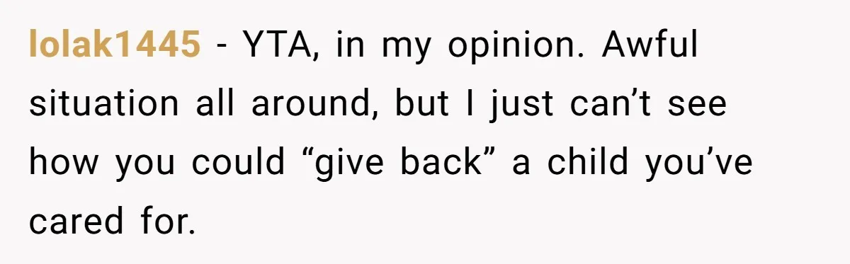 lolak1445 − YTA, in my opinion. Awful situation all around, but I just can’t see how you could “give back” a child you’ve cared for.
