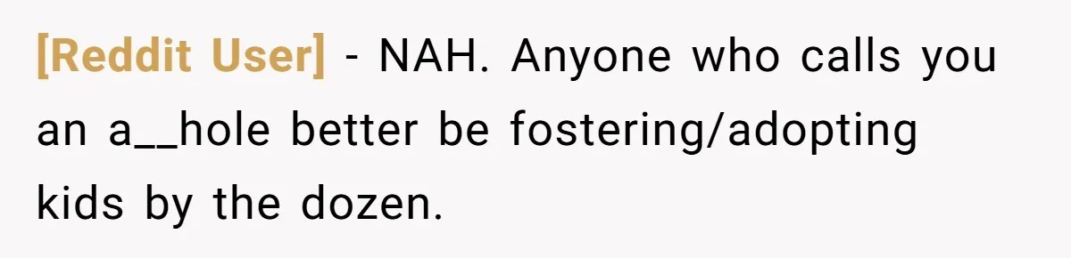 [Reddit User] − NAH. Anyone who calls you an a__hole better be fostering/adopting kids by the dozen.