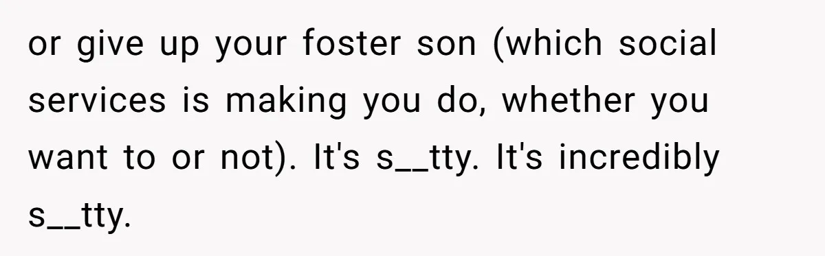 or give up your foster son (which social services is making you do, whether you want to or not). It's s__tty. It's incredibly s__tty.