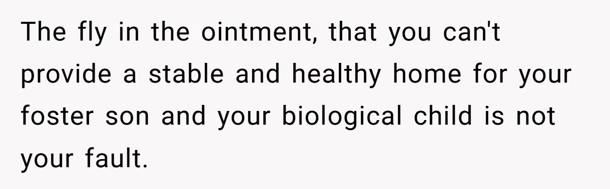 The fly in the ointment, that you can't provide a stable and healthy home for your foster son and your biological child is not your fault.