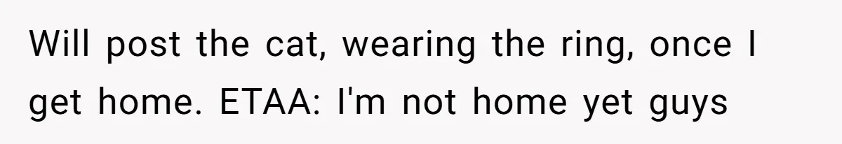 Will post the cat, wearing the ring, once I get home. ETAA: I'm not home yet guys