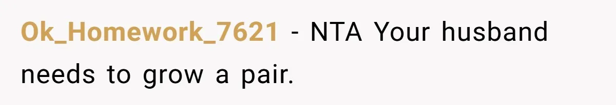 Ok_Homework_7621 − NTA Your husband needs to grow a pair.