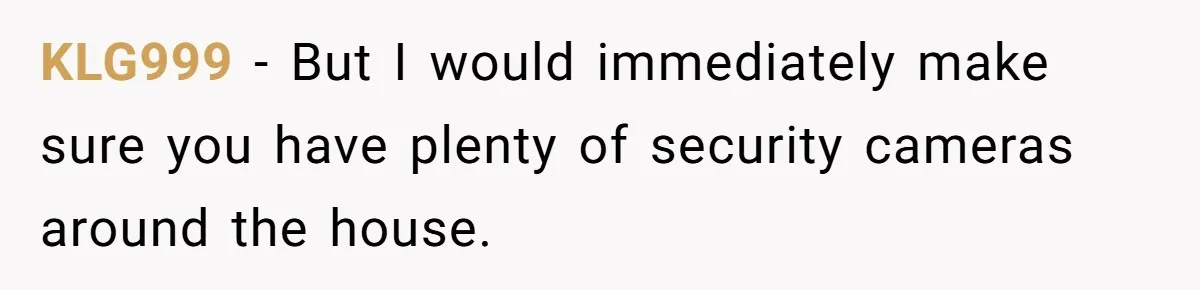 KLG999 − But I would immediately make sure you have plenty of security cameras around the house.