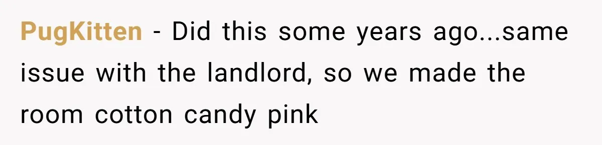 PugKitten − Did this some years ago...same issue with the landlord, so we made the room cotton candy pink