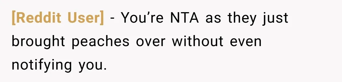 [Reddit User] − You’re NTA as they just brought peaches over without even notifying you.