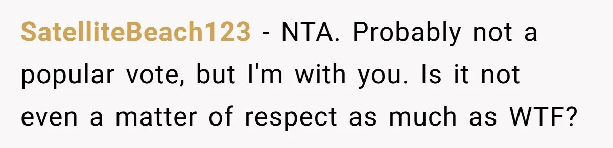 SatelliteBeach123 − NTA. Probably not a popular vote, but I'm with you. Is it not even a matter of respect as much as WTF?