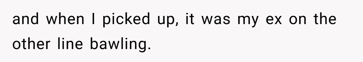 and when I picked up, it was my ex on the other line bawling.