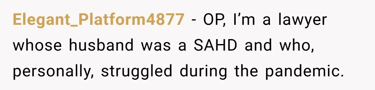 Elegant_Platform4877 − OP, I’m a lawyer whose husband was a SAHD and who, personally, struggled during the pandemic.
