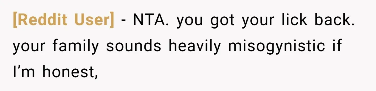 [Reddit User] − NTA. you got your lick back. your family sounds heavily misogynistic if I’m honest,