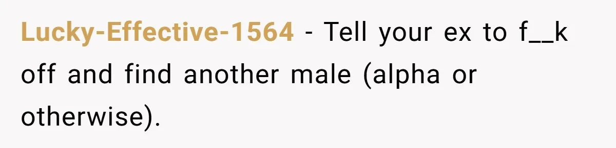 Lucky-Effective-1564 − Tell your ex to f__k off and find another male (alpha or otherwise).