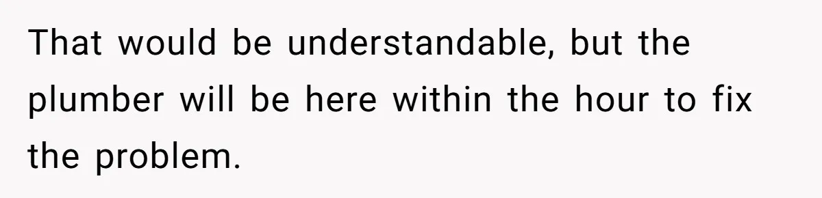 That would be understandable, but the plumber will be here within the hour to fix the problem.