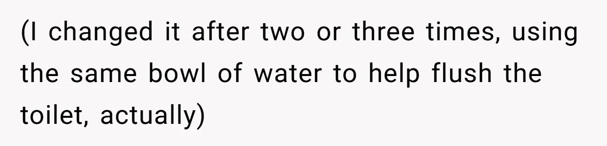 (I changed it after two or three times, using the same bowl of water to help flush the toilet, actually)