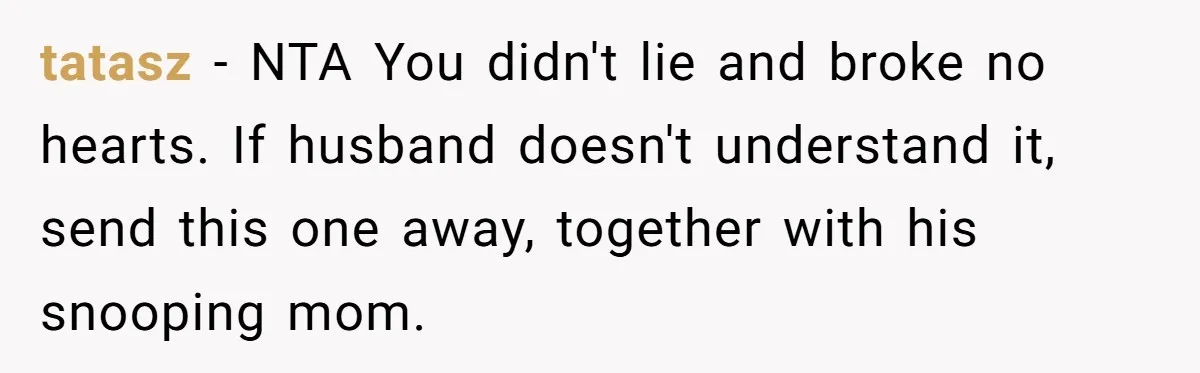 tatasz − NTA You didn't lie and broke no hearts. If husband doesn't understand it, send this one away, together with his snooping mom.