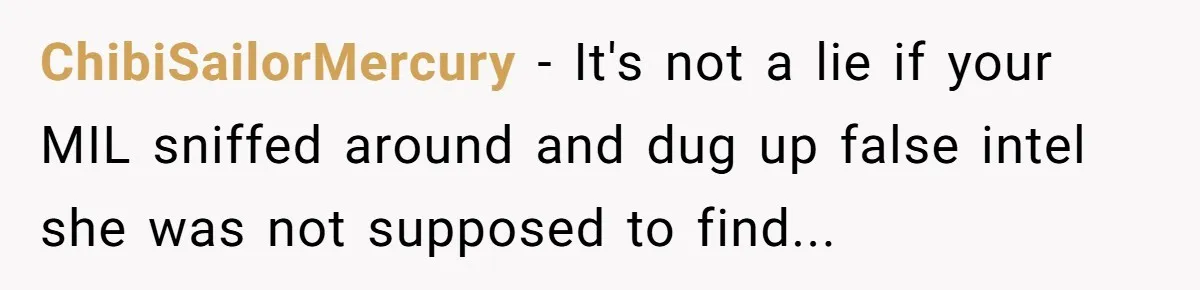 ChibiSailorMercury − It's not a lie if your MIL sniffed around and dug up false intel she was not supposed to find...