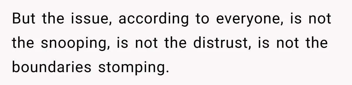 But the issue, according to everyone, is not the snooping, is not the distrust, is not the boundaries stomping.