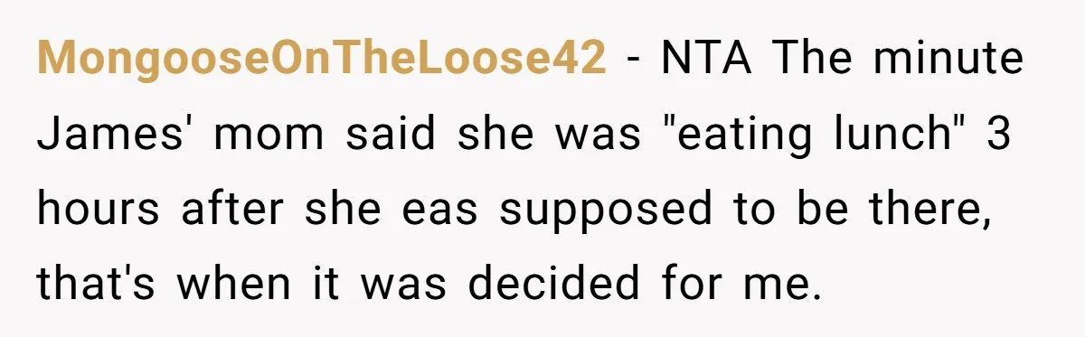 MongooseOnTheLoose42 − NTA The minute James' mom said she was "eating lunch" 3 hours after she eas supposed to be there, that's when it was decided for me.