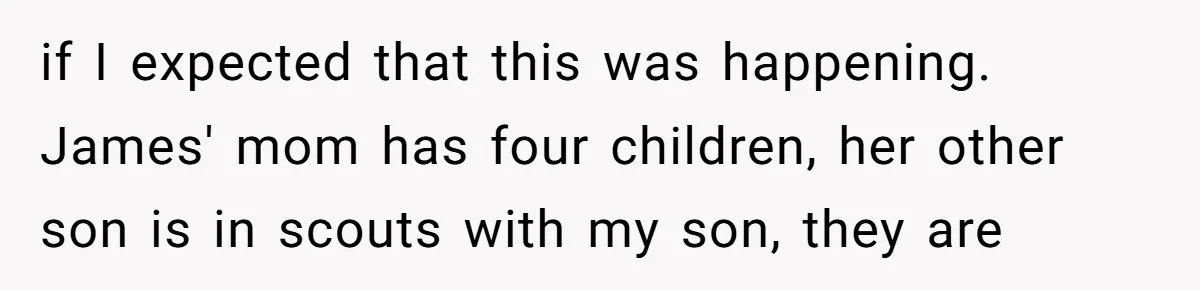 if I expected that this was happening. James' mom has four children, her other son is in scouts with my son, they are