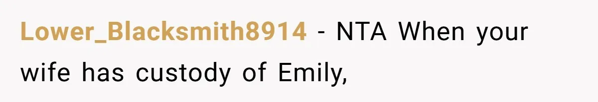 Lower_Blacksmith8914 − NTA When your wife has custody of Emily,