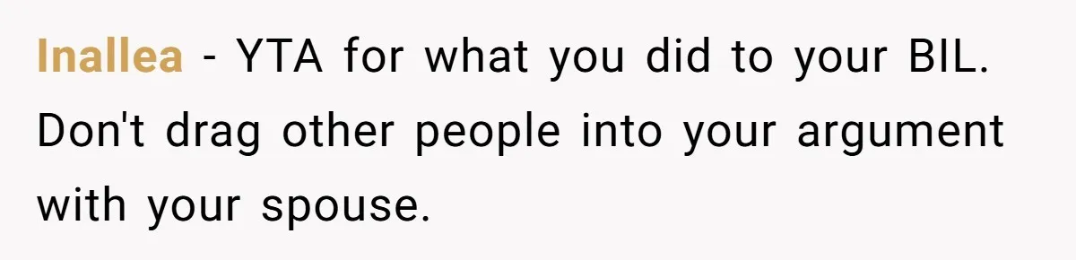 Inallea − YTA for what you did to your BIL. Don't drag other people into your argument with your spouse.