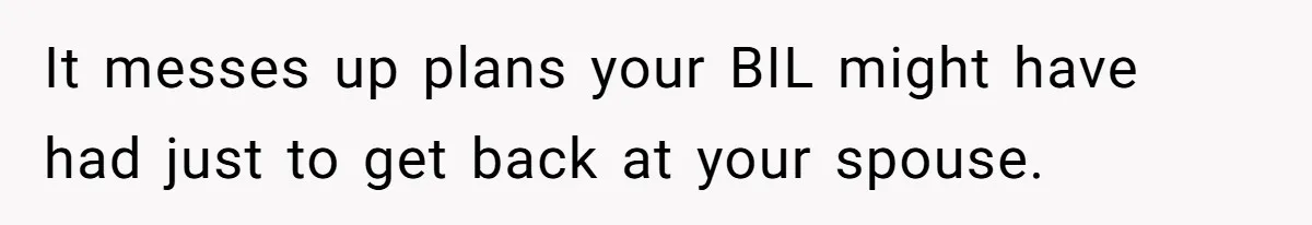It messes up plans your BIL might have had just to get back at your spouse.