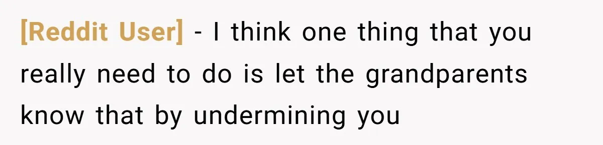 [Reddit User] − I think one thing that you really need to do is let the grandparents know that by undermining you