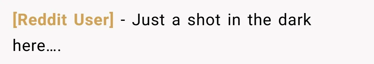 [Reddit User] − Just a shot in the dark here….