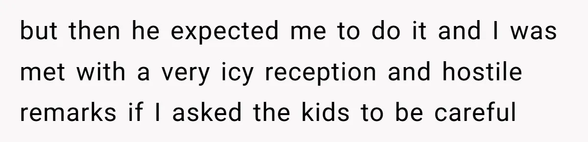 but then he expected me to do it and I was met with a very icy reception and hostile remarks if I asked the kids to be careful