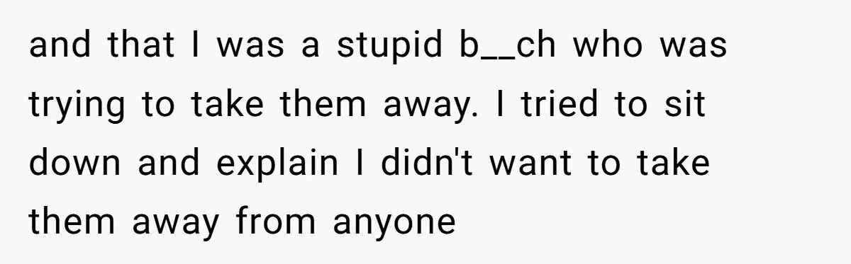 and that I was a stupid b__ch who was trying to take them away. I tried to sit down and explain I didn't want to take them away from anyone