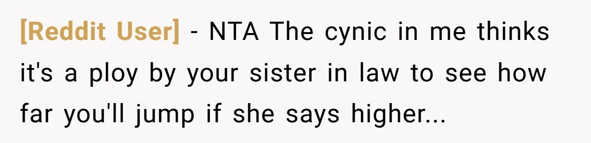 [Reddit User] − NTA The cynic in me thinks it's a ploy by your sister in law to see how far you'll jump if she says higher...