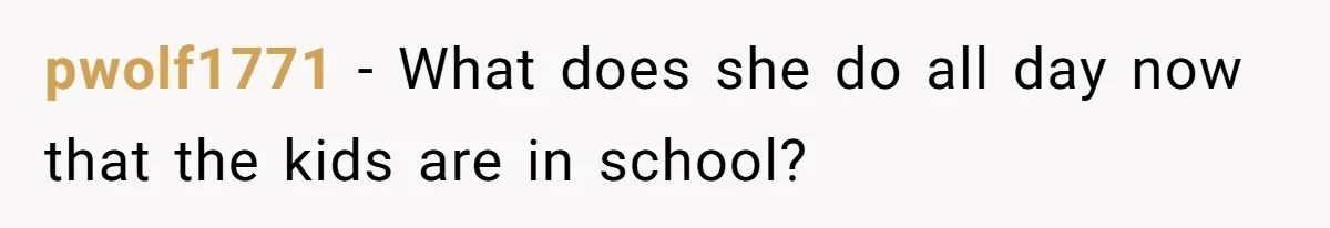 pwolf1771 − What does she do all day now that the kids are in school?