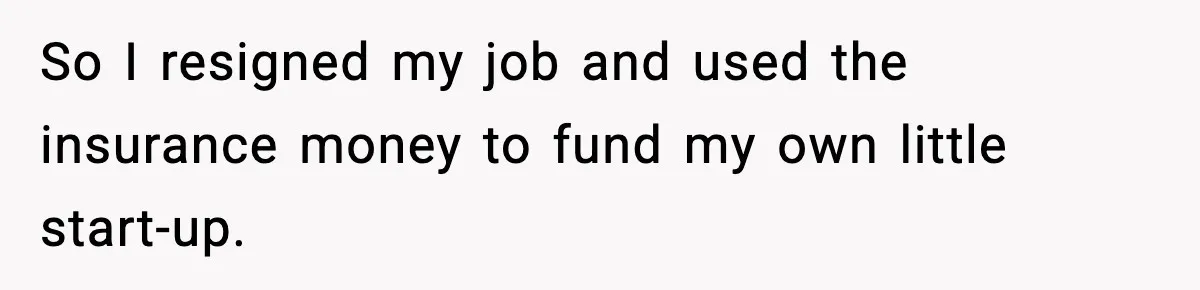 So I resigned my job and used the insurance money to fund my own little start-up.