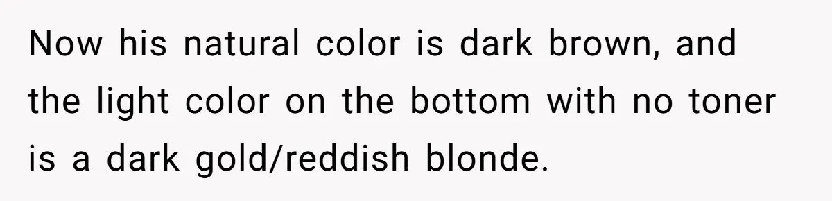 Now his natural color is dark brown, and the light color on the bottom with no toner is a dark gold/reddish blonde.