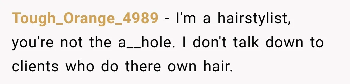 Tough_Orange_4989 − I'm a hairstylist, you're not the a__hole. I don't talk down to clients who do there own hair.