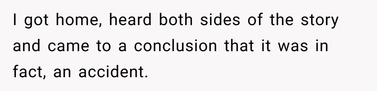 I got home, heard both sides of the story and came to a conclusion that it was in fact, an accident.