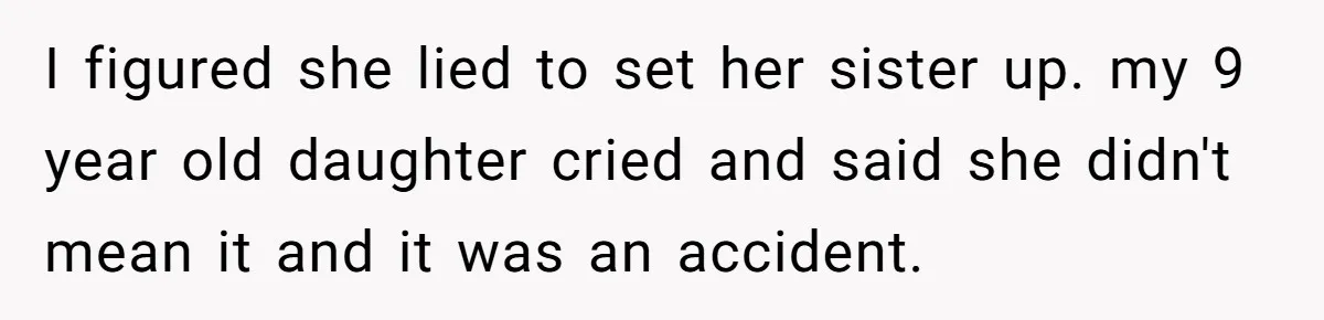 I figured she lied to set her sister up. my 9 year old daughter cried and said she didn't mean it and it was an accident.