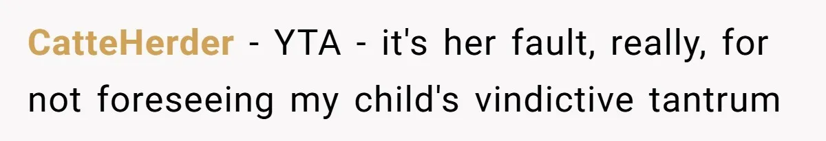 CatteHerder − YTA - it's her fault, really, for not foreseeing my child's vindictive tantrum