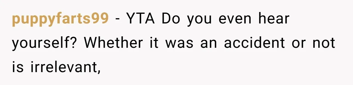puppyfarts99 − YTA Do you even hear yourself? Whether it was an accident or not is irrelevant,