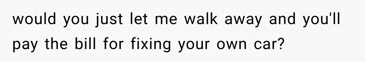 would you just let me walk away and you'll pay the bill for fixing your own car?