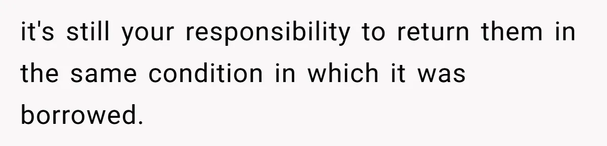 it's still your responsibility to return them in the same condition in which it was borrowed.