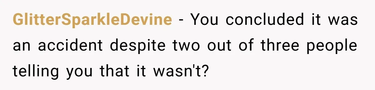 GlitterSparkleDevine − You concluded it was an accident despite two out of three people telling you that it wasn't?