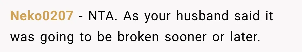 Neko0207 − NTA. As your husband said it was going to be broken sooner or later.