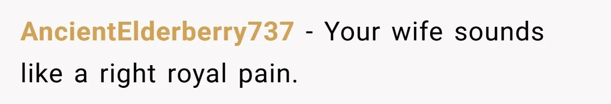 AncientElderberry737 − Your wife sounds like a right royal pain.