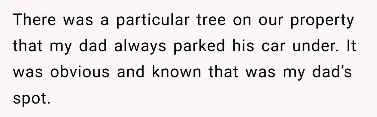 There was a particular tree on our property that my dad always parked his car under. It was obvious and known that was my dad’s spot.