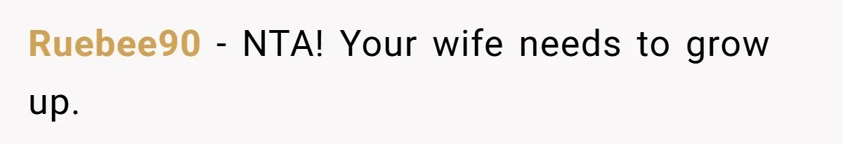 Ruebee90 − NTA! Your wife needs to grow up.
