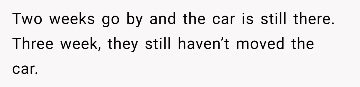 Two weeks go by and the car is still there. Three week, they still haven’t moved the car.