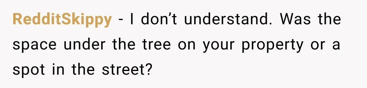 RedditSkippy − I don’t understand. Was the space under the tree on your property or a spot in the street?